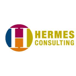 fatturato hermes consulting|Hermes Consulting .